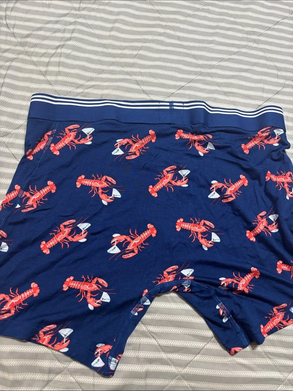 American Eagle Outfitters Navy Boxer Briefs with Red Lobster Print